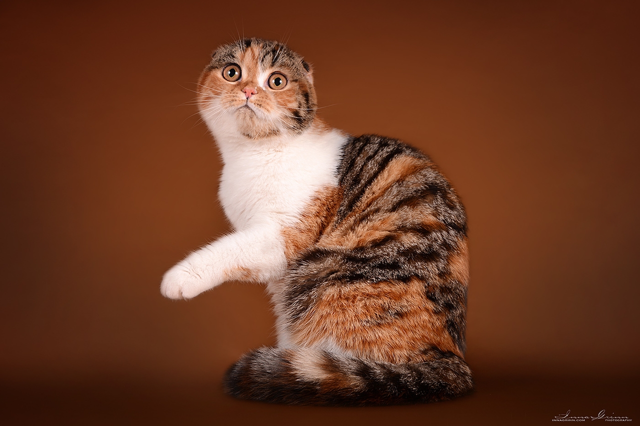 Mother, Danniela Nargilo